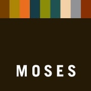 Photo of Moses