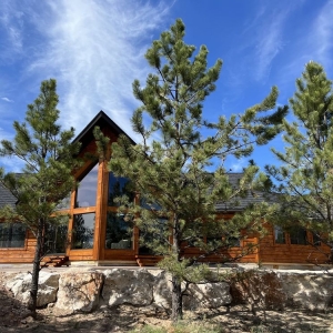 Photo of Golden Eagle Log Homes