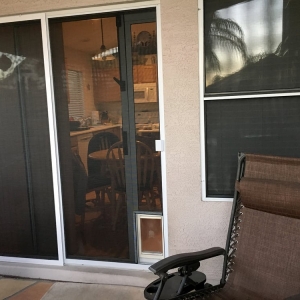 Photo of Phoenix Window Shades