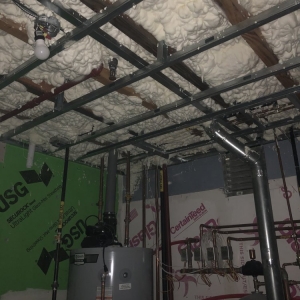 Brooklyn Manganaro Spray Foam Insulation