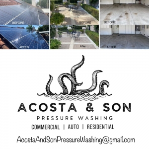 Photo of Acosta & Son Pressure Washing Services