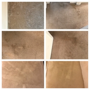Photo of White Knight Steamer Professional Carpet & Upholstery Cleaner