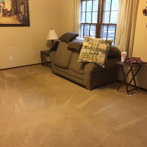 Photo of White Knight Steamer Professional Carpet & Upholstery Cleaner