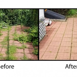 Photo of Roger's Snow Removal and Landscaping Service