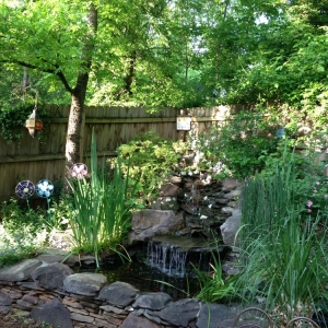 Photo of Wonderfalls of Atlanta
