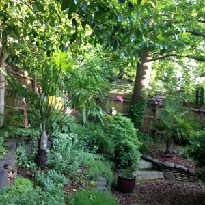 Photo of Wonderfalls of Atlanta