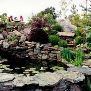 Photo of Wonderfalls of Atlanta