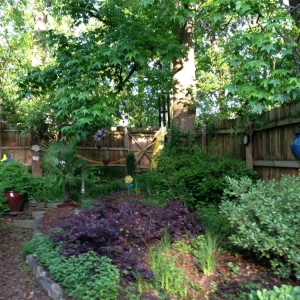 Photo of Wonderfalls of Atlanta