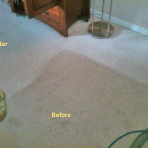 Photo of Apex Carpet Care, LLC