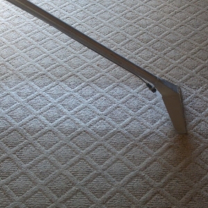 Photo of Conscientious Carpet Care