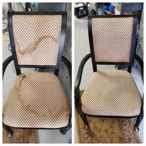 Photo of Conscientious Carpet Care