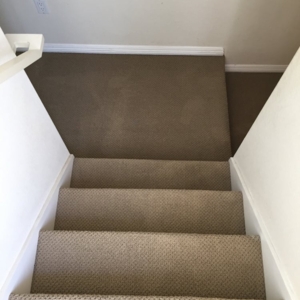 Photo of City's Finest Carpet Care