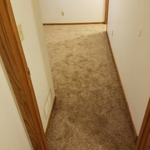 Photo of Precision Flooring
