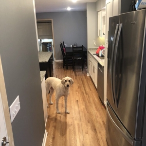 Roseville Kitchens Made Simple