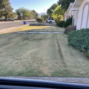 Photo of Dreamscape Landscaping