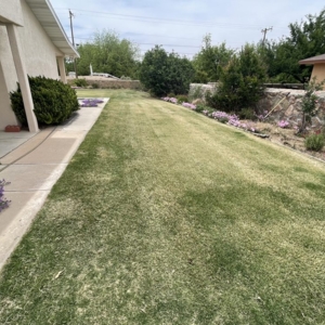 Photo of Dreamscape Landscaping