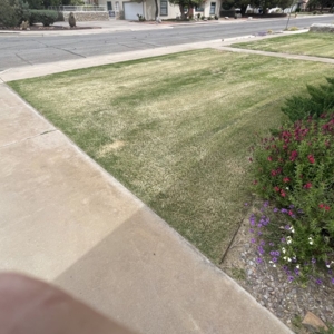 Photo of Dreamscape Landscaping