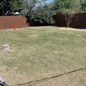 Photo of Dreamscape Landscaping
