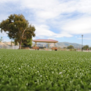 Photo of Field of Green