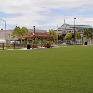 Photo of Field of Green