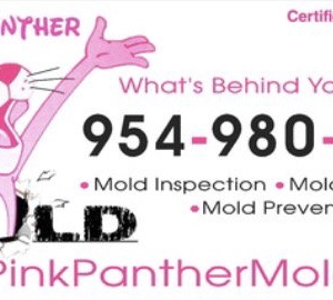 Photo of Pink Panther Mold