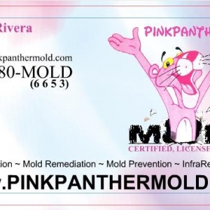Photo of Pink Panther Mold