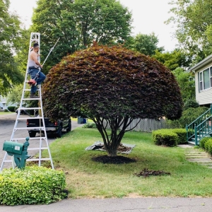 Photo of BJA Bros Landscaping Service