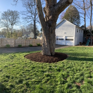 Photo of BJA Bros Landscaping Service