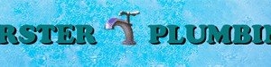 Photo of Forster Plumbing