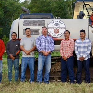 Photo of Red Beard Excavators