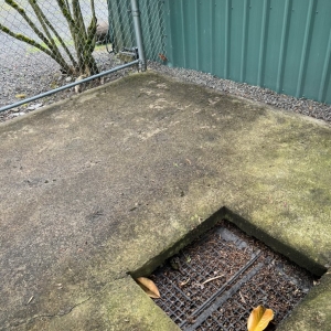 Canby Supreme Pressure Wash