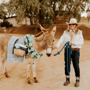 Photo of Party Pony Express Pony Rides