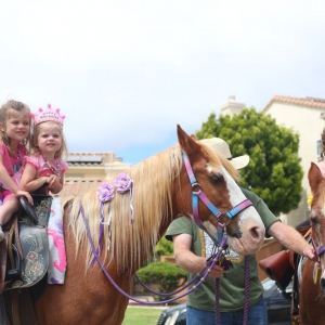 Photo of Party Pony Express Pony Rides