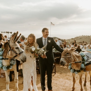 Photo of Party Pony Express Pony Rides