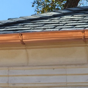 Photo of The Brothers that just do Gutters