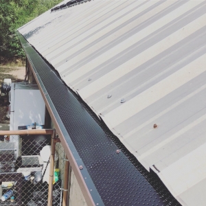Photo of The Brothers that just do Gutters