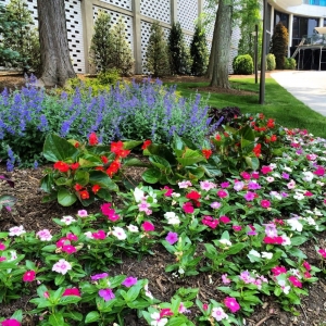 Photo of Pennella's Landscape Designs, LLC