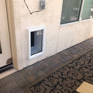 Photo of Pet doors for less