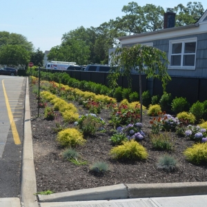Photo of Serf & Turf Landscaping