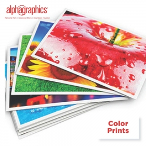 Photo of AlphaGraphics of Memorial Park