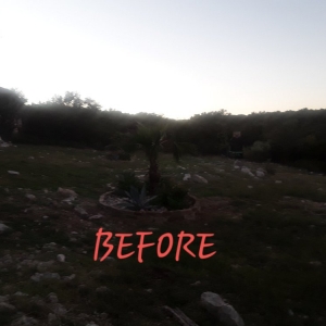 San Antonio Ambitionz Lawn