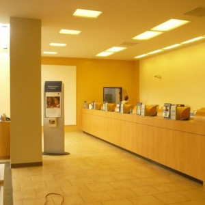 Photo of Gt Pro Painting Services