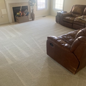 Photo of DR Spot Cleaning Services and Flooring