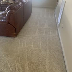 Photo of DR Spot Cleaning Services and Flooring
