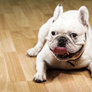 Photo of A'Jack Flooring