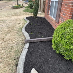 Photo of Mow & Blow Lawn Service