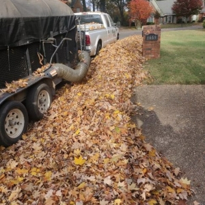 Photo of Mow & Blow Lawn Service
