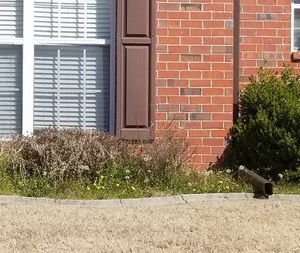 Photo of Mow & Blow Lawn Service