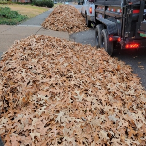 Photo of Mow & Blow Lawn Service