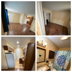 Photo of T&T Handyman & Cleaning Services